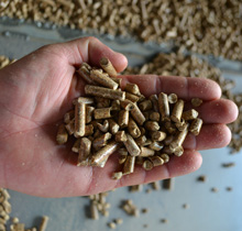 гранула 6 мм сосновая