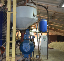 гранулятор Pelletis